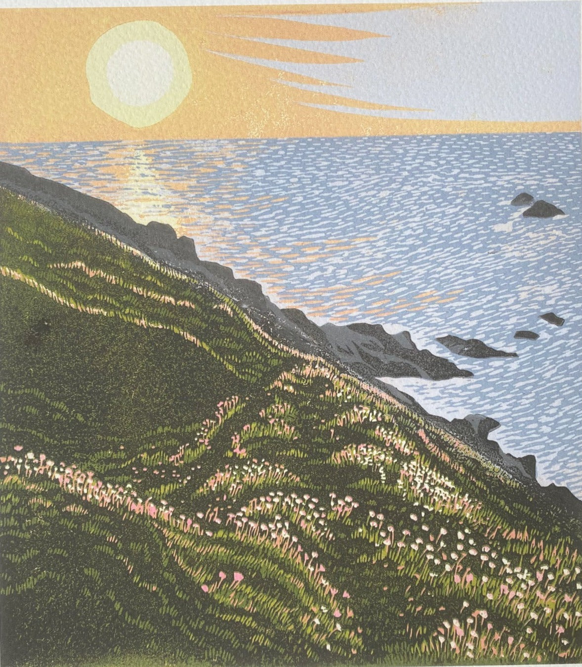 Golden hour and the sun catching the heads of the sea pinks.art print of a cornish wild flower covered hillside. Cornwall. Sunset.