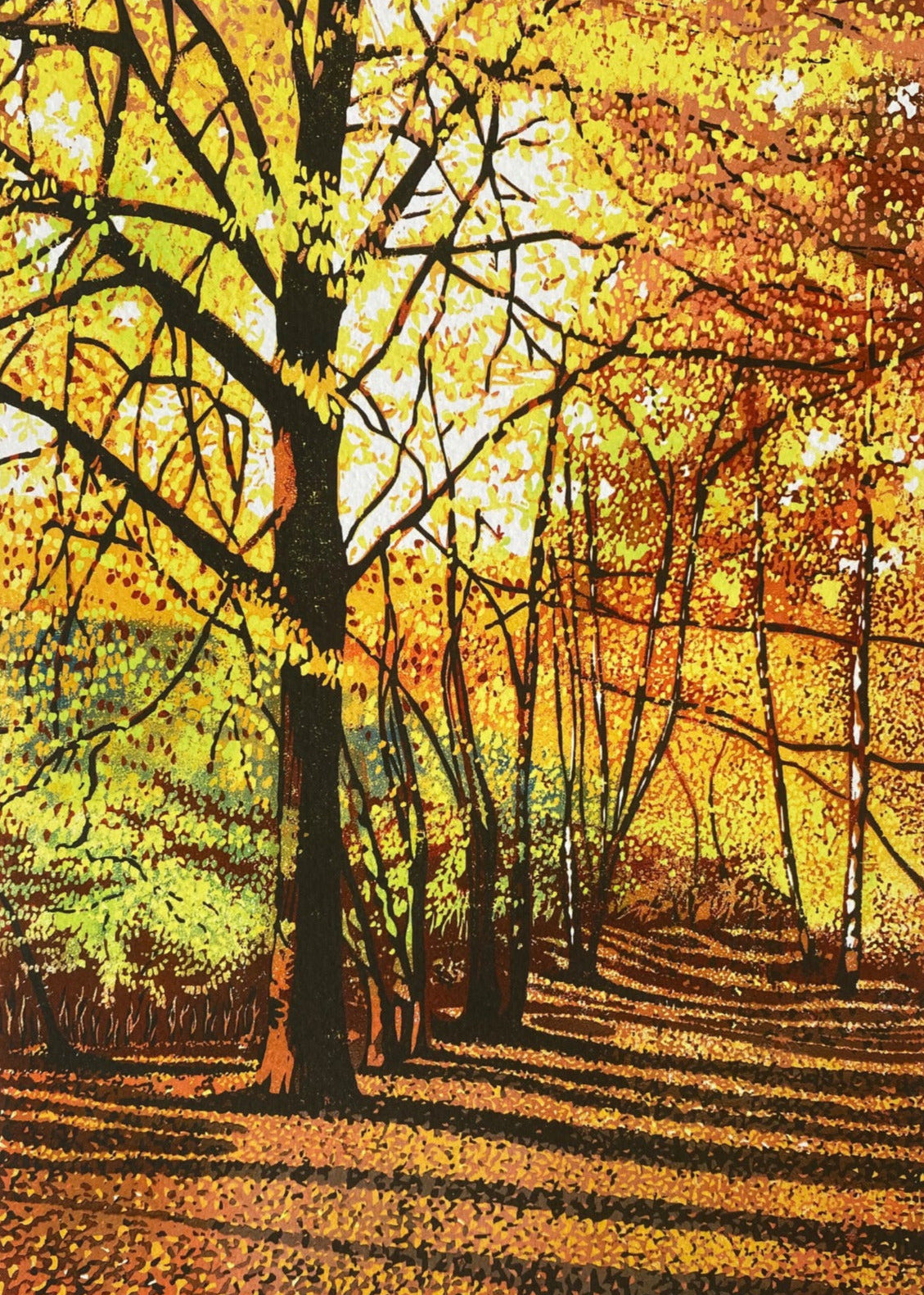 Shropshire Woodland