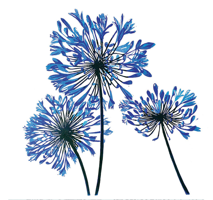 Card - Agapanthus