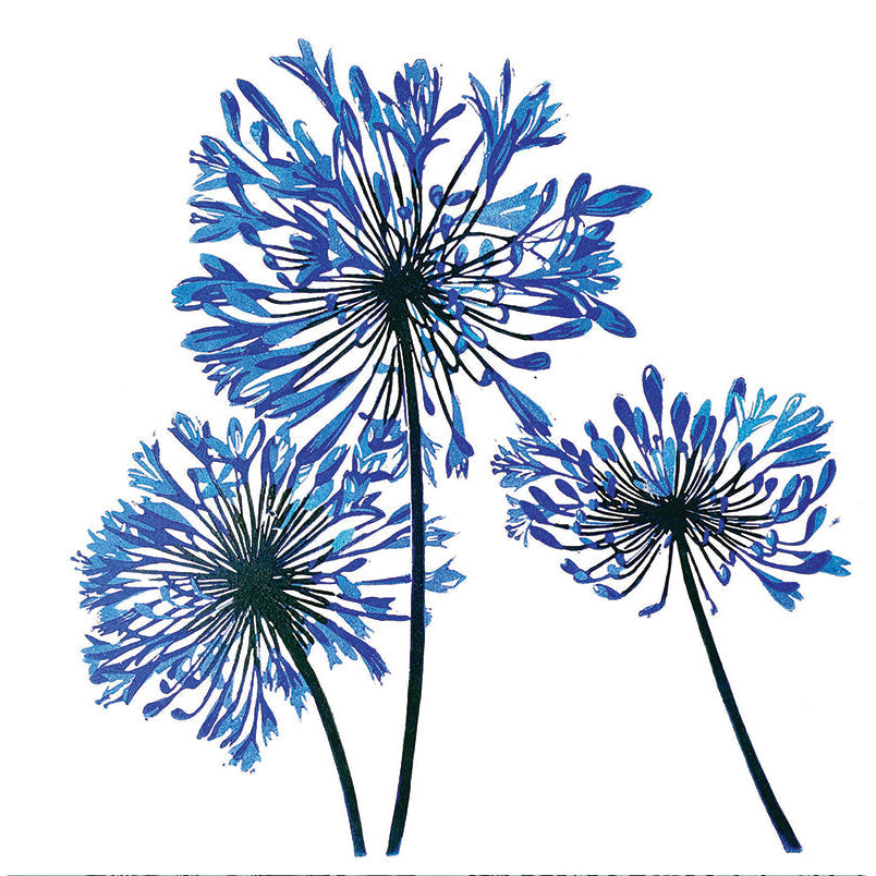 Card - Agapanthus