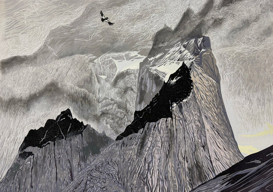 Soar