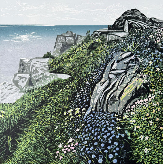 Wildflowers at Zennor